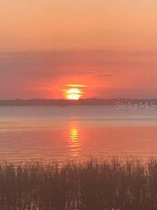 31011 Cove Rd, Tavares, FL, 32778