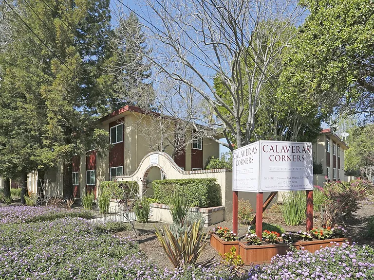1487-1493 E Calaveras Blvd — Photo 2