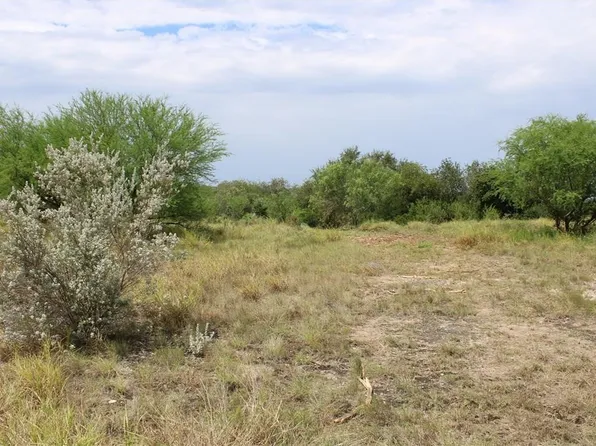 266 Vista Dr, Sandia, TX 78383