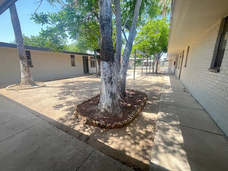 Retama Apartments — Photo 8