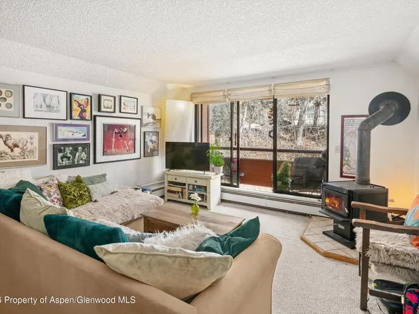 1325 Vine St, Aspen, CO 81611