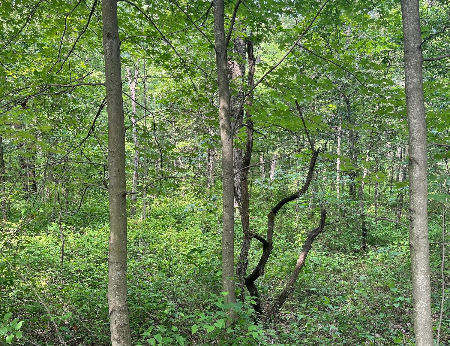 V/l 50th St, Pullman, MI 49450 Zillow