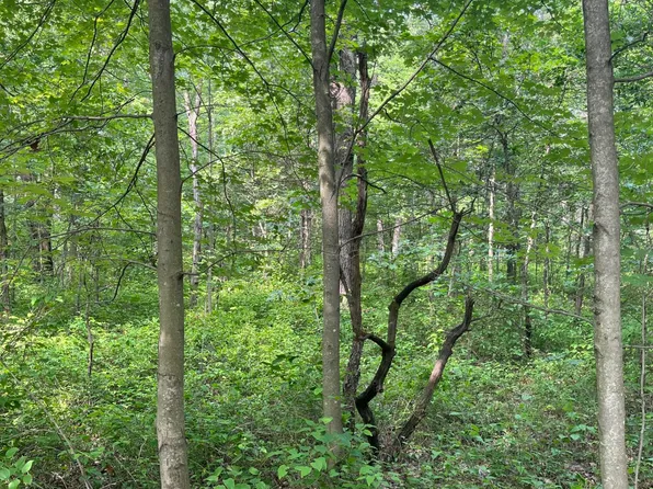 V/l 50th St, Pullman, MI 49450