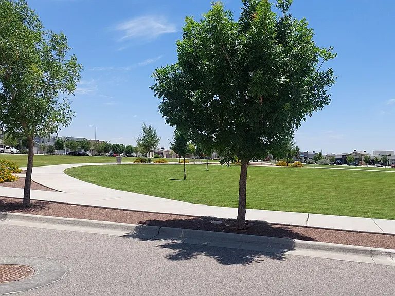 12349 Desert Wolf Ave — Photo 67
