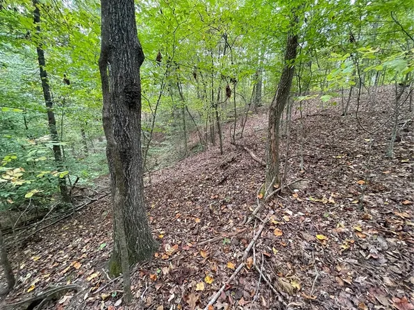 296 Chickasaw Dr, Westminster, SC 29693