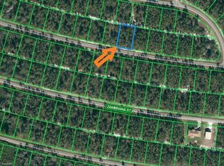 7838 Altara St, Sebring, FL 33872