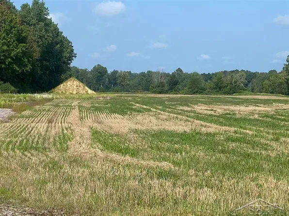 Vl N Meridian Rd, Hope, MI 48628