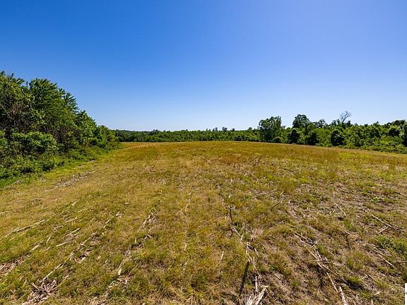 2nd image of 0 Slaughter Rd