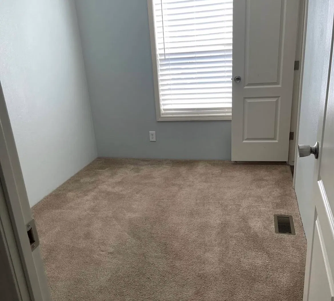 1 bed, $600 — Photo 3