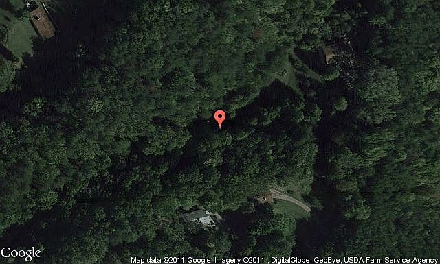 Map View