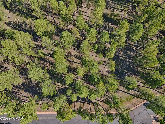 4th image of 9582 Sierra Springs Way