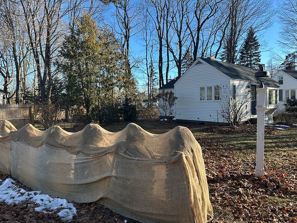 Side view from driveway, area behind covered bushes is the cottages yard.