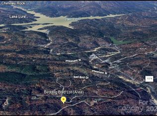 0 Birddog Blvd #328, Lake Lure, NC 28746