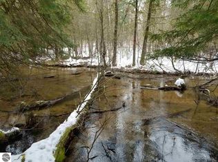 Nessen Rd, Thompsonville, MI 49683