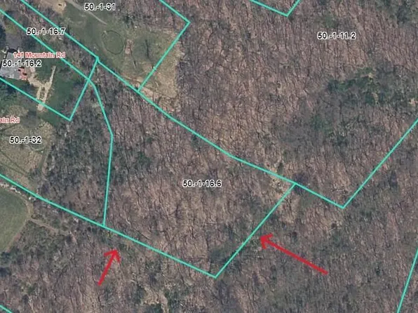 Tbd Mountain Road, Bloomingburg, NY 12721