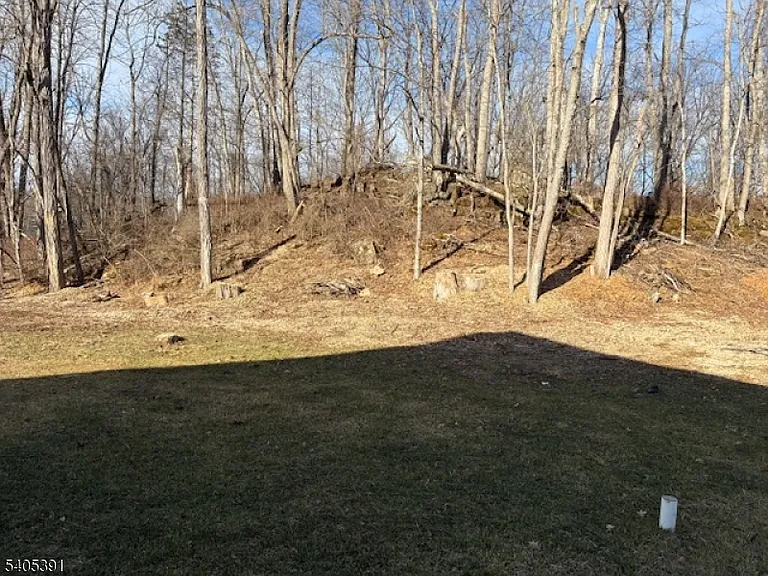 1007 County Road 519 #B — Photo 15
