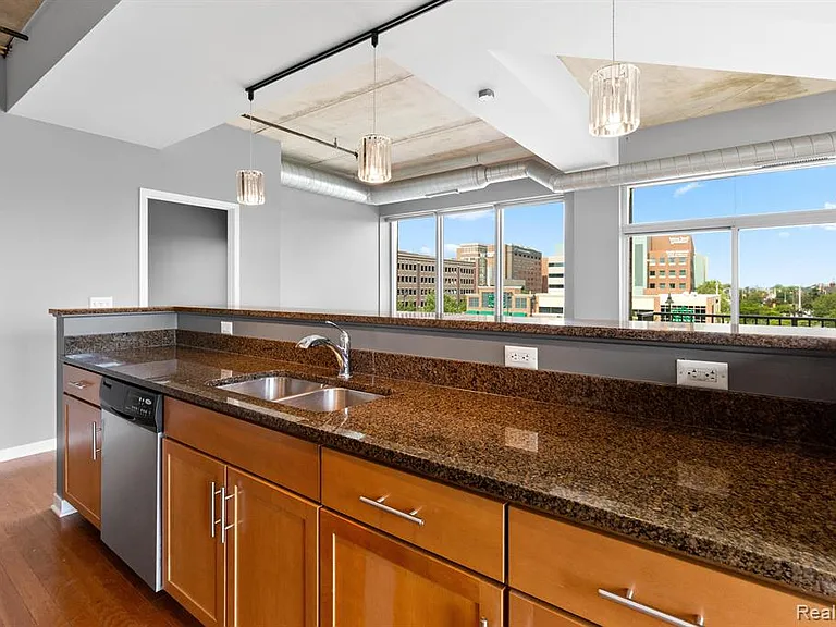3670 Woodward Ave #314 — Photo 6