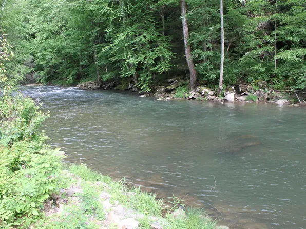 390 Big Sycamore Rd, Webster Springs, WV 26288