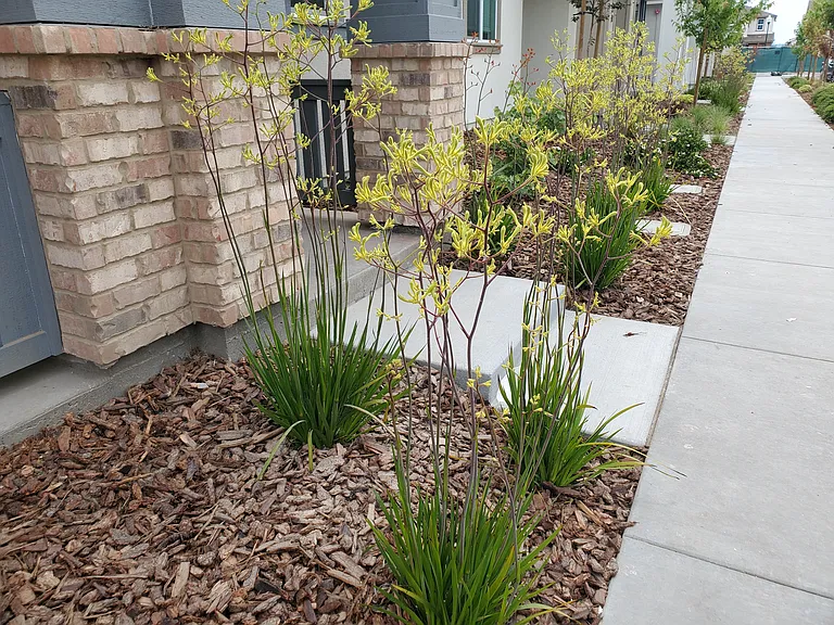 2734 Bella Cir — Photo 12