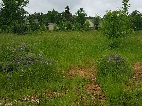 2nd image of 20 Acres Gladiolus Drive