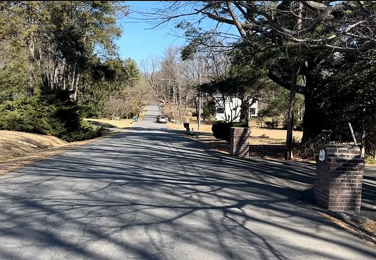 Main street- treed and serene