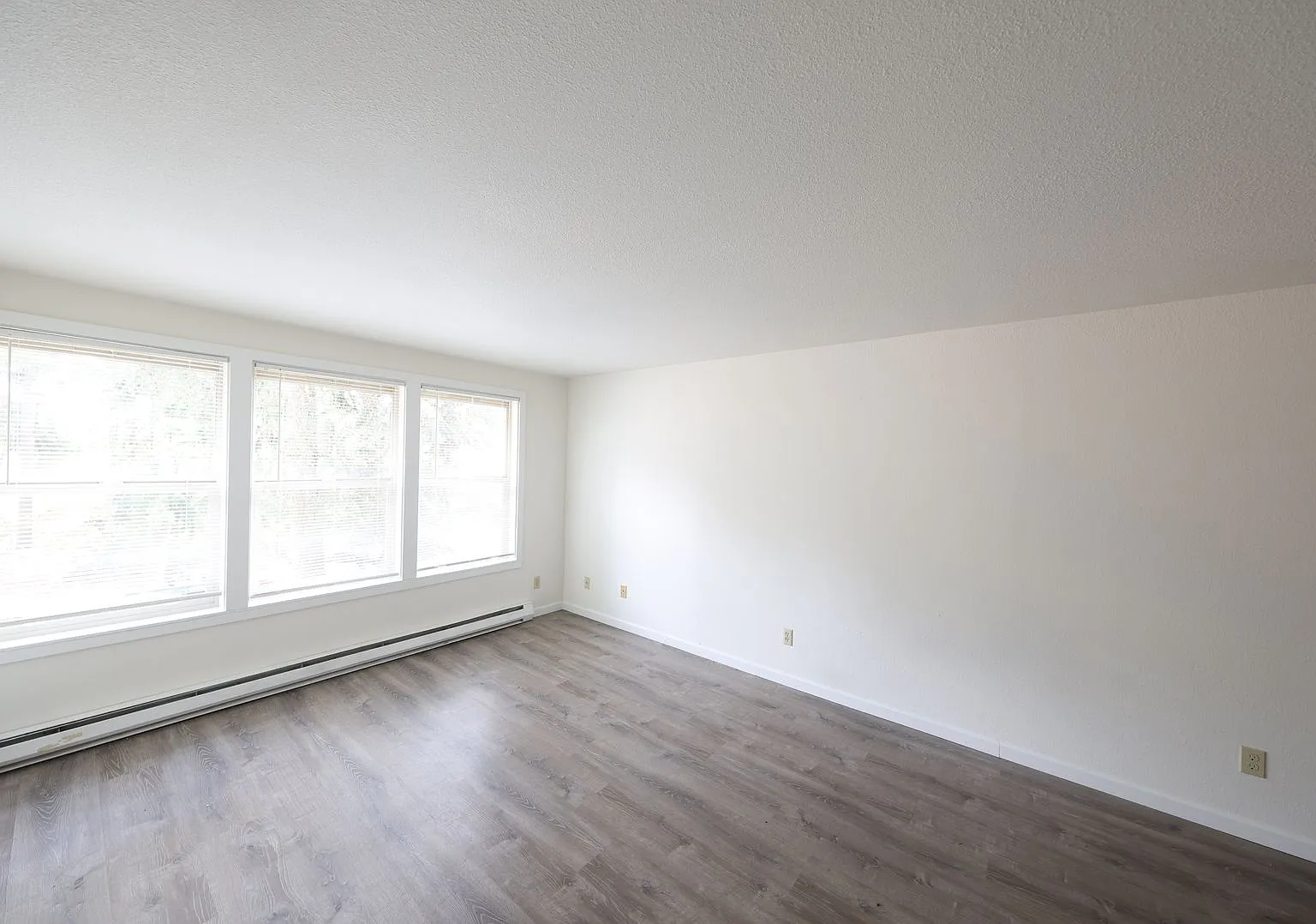 2 Bed 1 Bath - Excellent Condition - NAS Whidbey — Photo 2