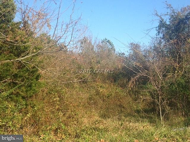 2nd image of Texas Rd
