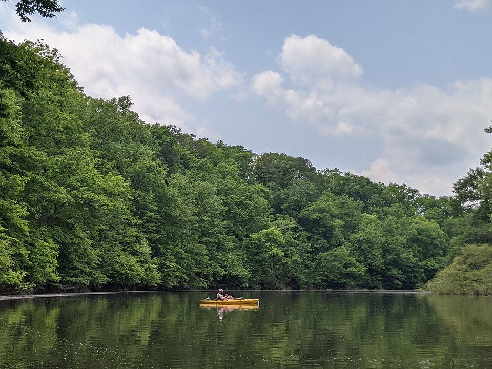 Sipsey River (property shoreline on left side)