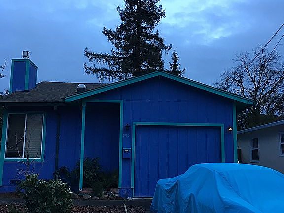 Awesome Redwood in Backyard