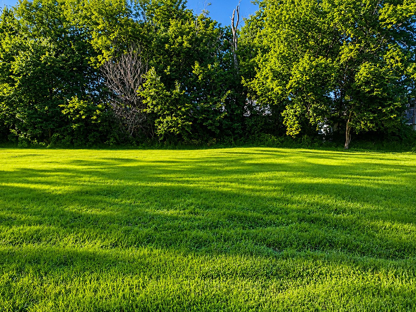 1341 Ridgeway Ave — Aurora Country Club