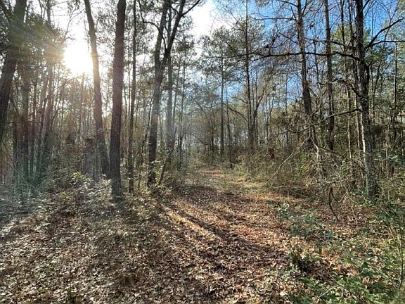 5th image of Tbd Meekins Rd