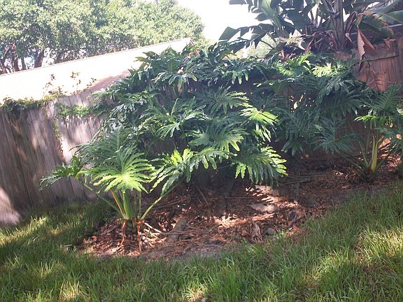 5th image of 16014 Saddle Creek Dr