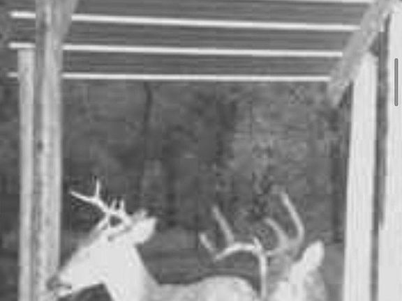 4th image of 890 SW Applewood Glen