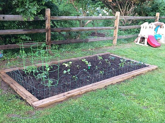 A gardener's delight 