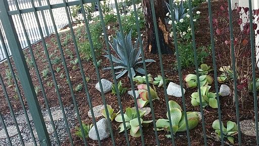 2nd image of 8505 Cedros Ave APT 107