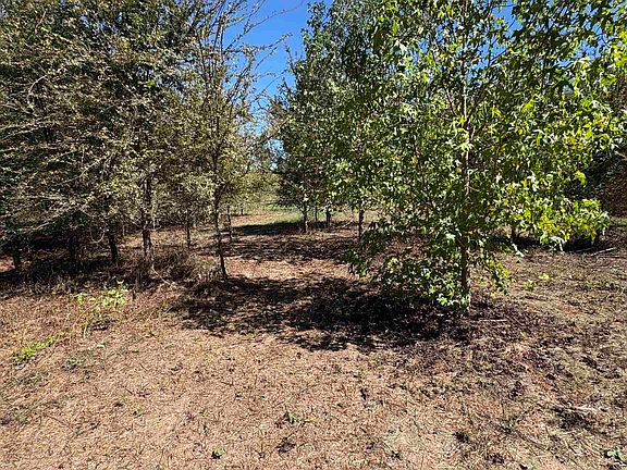 4th image of 920 County Road 1226
