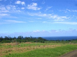 54-579 Honomakau Rd #A-1, Kapaau, HI 96755