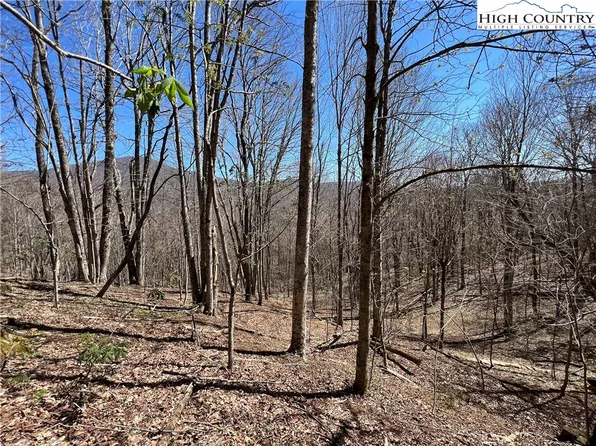 TBD Diamond Ridge Road, Boone, NC 28607