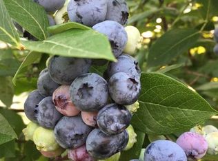 7436 Lock Mill Ct, Maumee, OH 43537