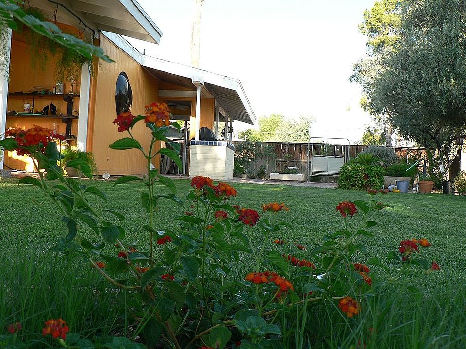 backyard loan