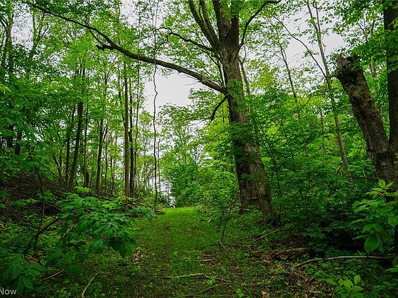5th image of Ervin Ln