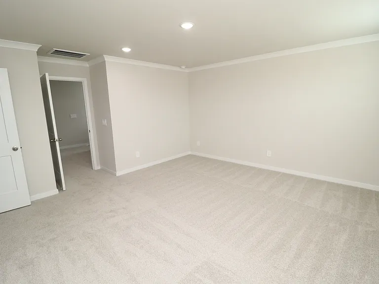 4121 Hazel Branch Way — Photo 20