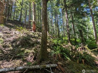 999 Kallman Road, Forks, WA 98331