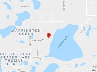 18807 Cypress Shores Dr, Lutz, FL 33548
