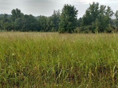 8800 Independence School Rd Tract 2, Louisville, KY, 40228