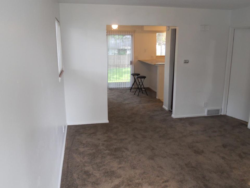 New Carpet