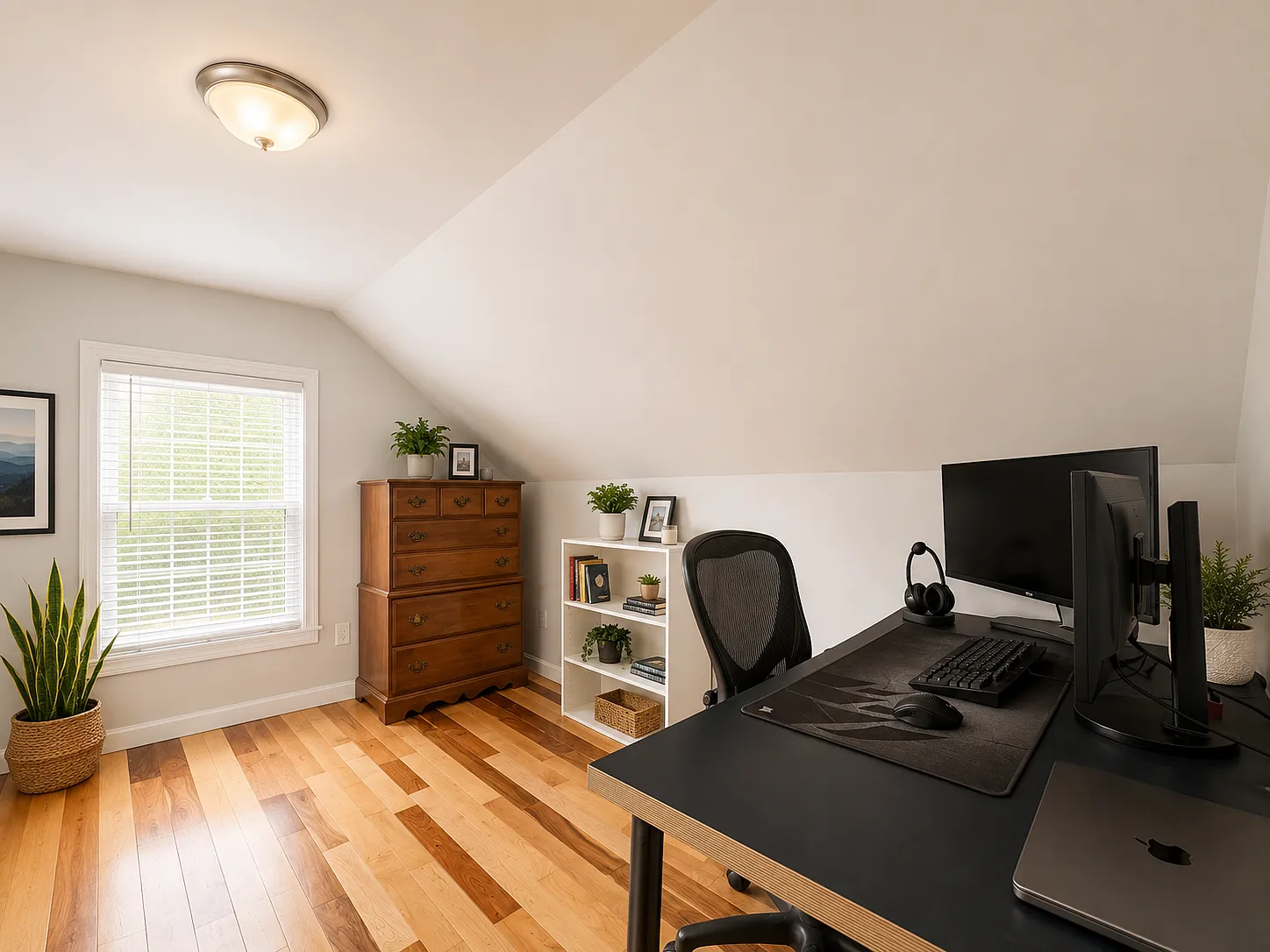 3 bed, 1.5 bath, 1200 sqft, $3,500 — Photo 4