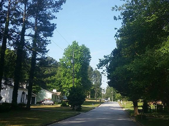 4th image of 1810 Rose Garden Ln
