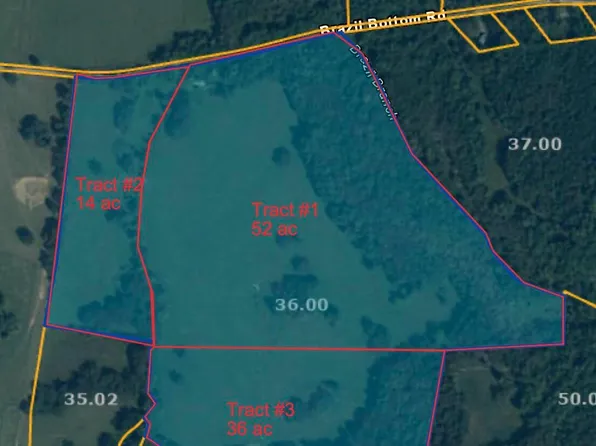 0 Brazil Bottom Rd Tract 1, Lexington, TN 38351