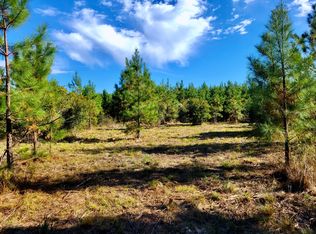 5025 Chester Hwy, Chester, GA 31012